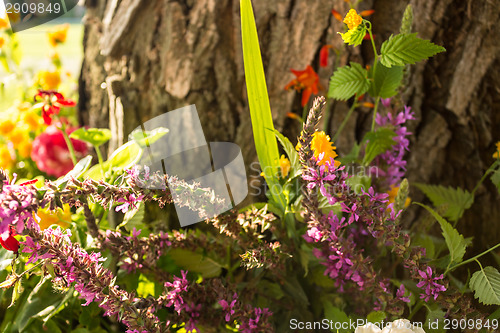 Image of Votive flowers under a tree