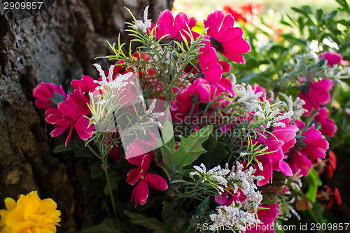 Image of Votive flowers under a tree