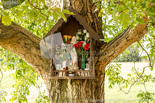 Image of Votive aedicula on a tree 