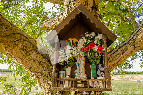 Image of Votive aedicula on a tree 