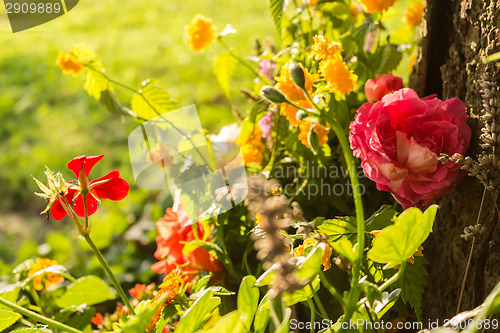 Image of Votive flowers under a tree