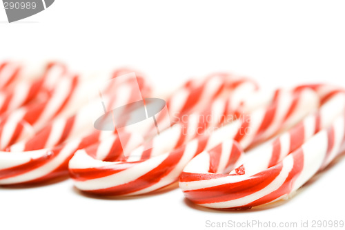Image of Christmas candy canes