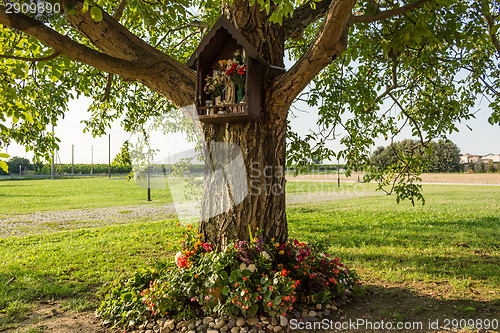 Image of Votive aedicula on a tree 