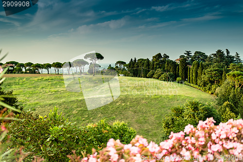 Image of Weeds on green view