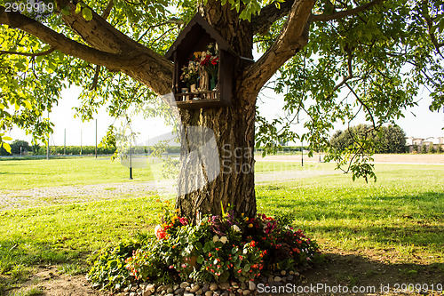 Image of Votive aedicula on a tree 