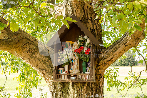 Image of Votive aedicula on a tree 