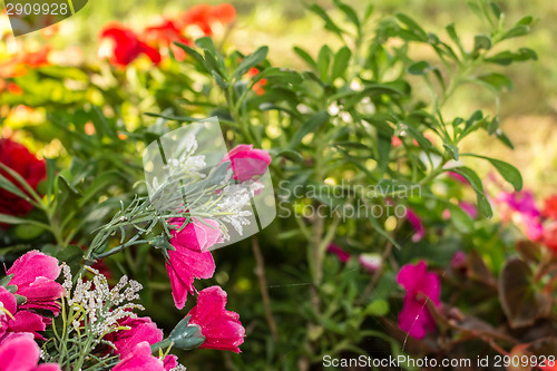 Image of Votive plastic flowers under a tree