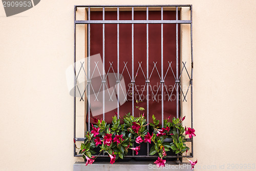 Image of Iron grating window