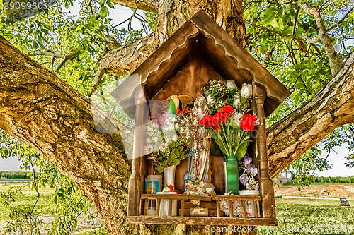 Image of Votive aedicula on a tree 