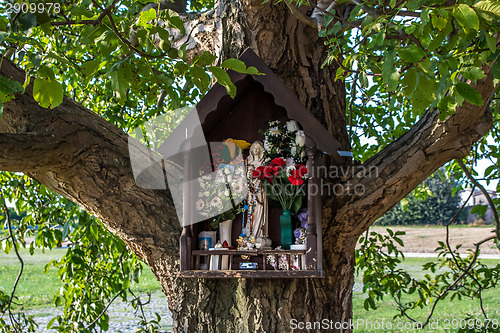 Image of Votive aedicula on a tree 