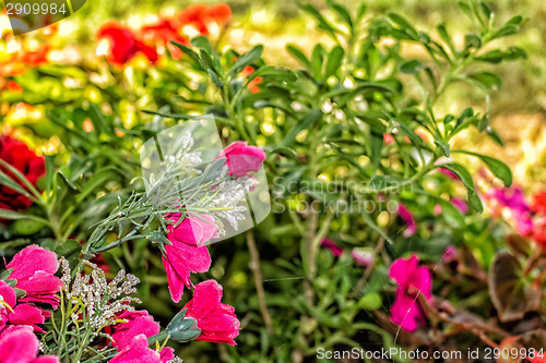 Image of Votive plastic flowers under a tree