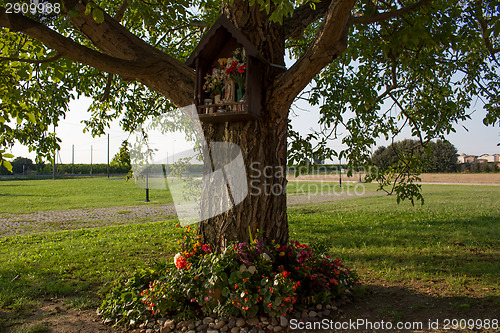 Image of Votive aedicula on a tree 