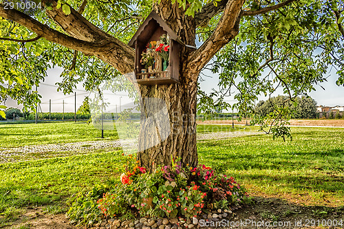 Image of Votive aedicula on a tree 