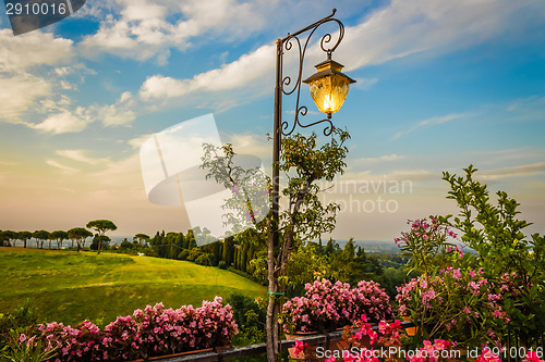 Image of Lamp on green view