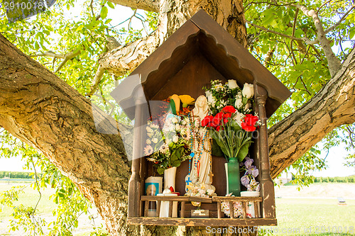 Image of Votive aedicula on a tree 