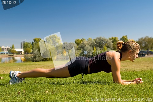 Image of Plank