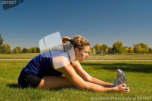 Image of Seated Hamstring Stretch