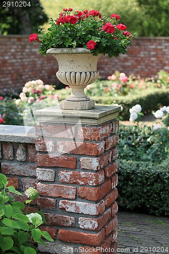 Image of  garden vase with red roses