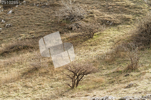 Image of Hilly place