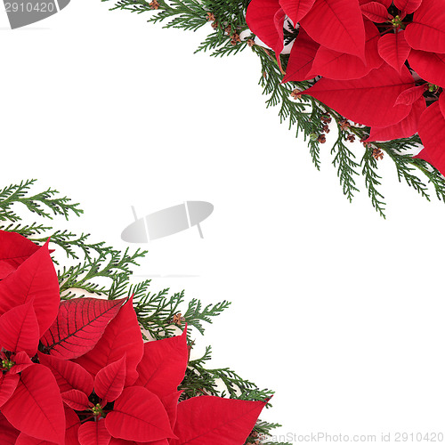 Image of Poinsettia Floral Border