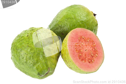 Image of Pink guava fruit