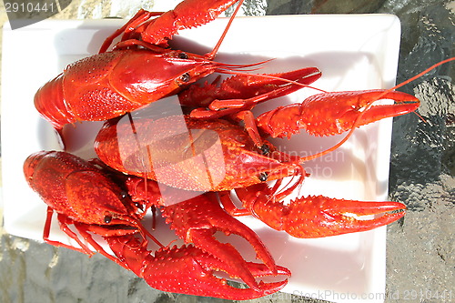 Image of Crayfish on white plate