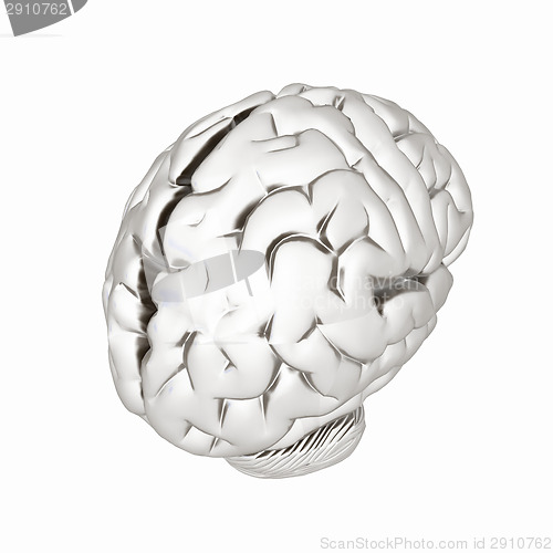 Image of Metall human brain