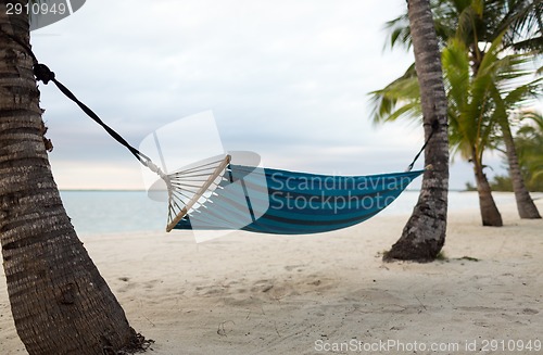 Image of hammock on tropical beach