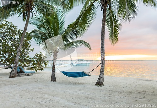 Image of hammock on tropical beach