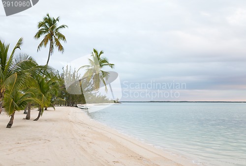 Image of tropical beach with palm trees