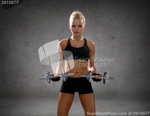 Image of sporty woman with heavy steel dumbbells