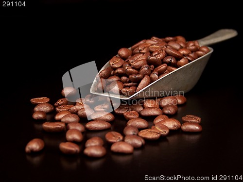 Image of Coffee Beans in a Scoop