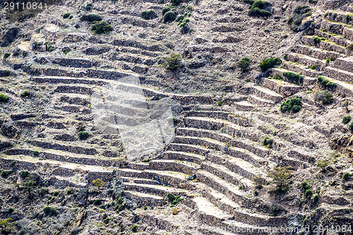 Image of Oman Saiq Plateau