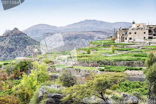 Image of Oman Saiq Plateau