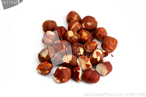 Image of Hazelnuts