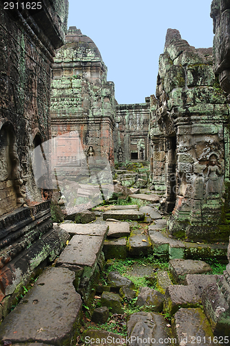 Image of Ta Prohm