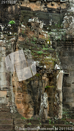 Image of Ta Prohm