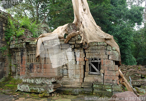 Image of Ta Prohm