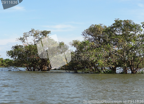 Image of around Tonle Sap