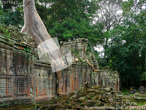 Image of Ta Prohm