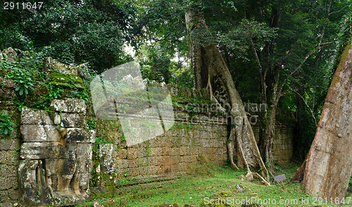 Image of Ta Prohm