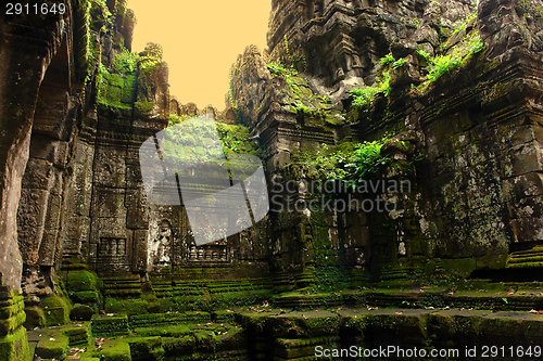 Image of Ta Prohm