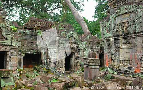 Image of Ta Prohm