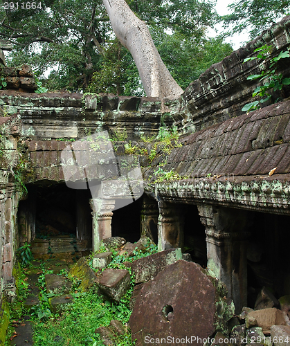 Image of Ta Prohm