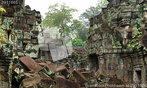 Image of Ta Prohm