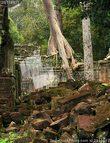 Image of Ta Prohm