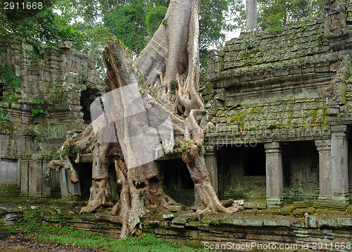 Image of Ta Prohm