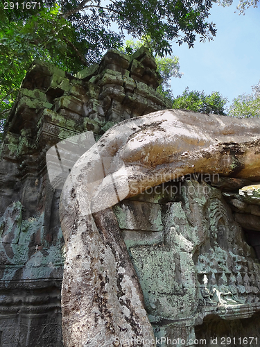 Image of Ta Prohm