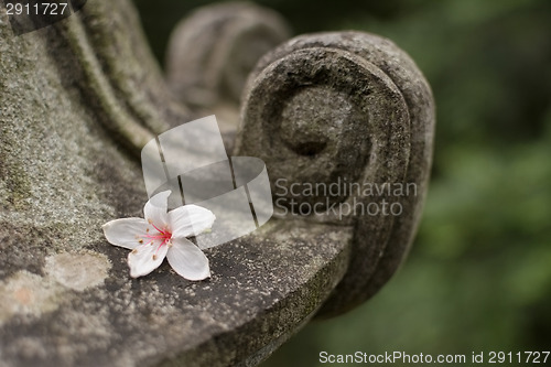 Image of Traditional asian stone lantern