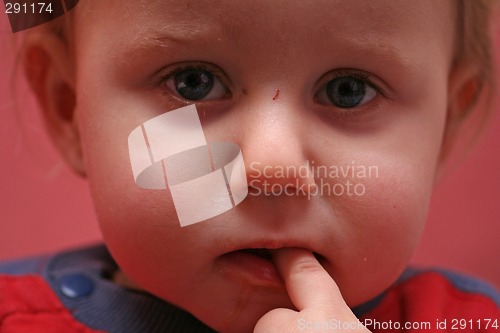 Image of Babyportrait